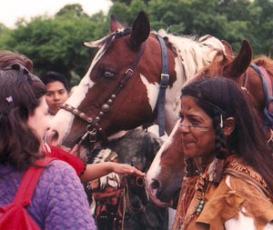 horse